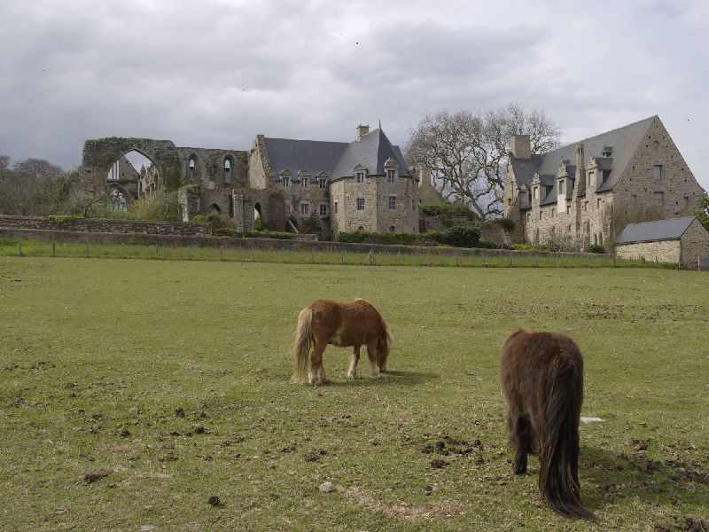 l'Abbaye de Beauport près de Paimpol